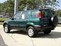 Clover Green Pearl - CR-V LX Photo No. 6