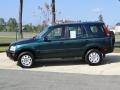 Clover Green Pearl - CR-V LX Photo No. 8