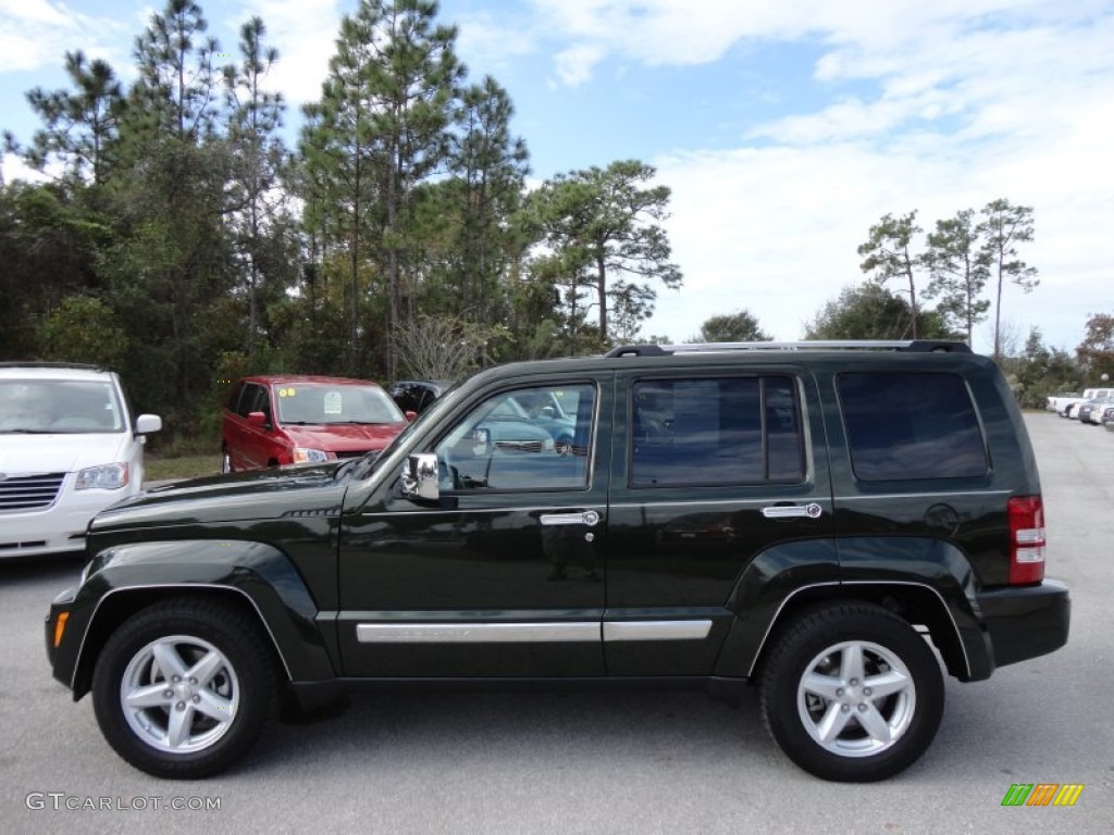 Natural Green Pearl 2010 Jeep Liberty Limited Exterior Photo #56963174