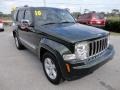 2010 Natural Green Pearl Jeep Liberty Limited  photo #11