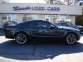 Highland Green Metallic - Mustang Bullitt Coupe Photo No. 1