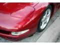 2000 Magnetic Red Metallic Chevrolet Corvette Coupe  photo #14