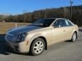 Sand Storm - CTS Sedan Photo No. 1
