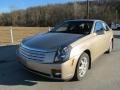 Sand Storm - CTS Sedan Photo No. 5