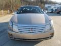 Sand Storm - CTS Sedan Photo No. 6