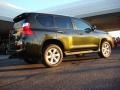 2010 Peridot Green Mica Lexus GX 460  photo #4