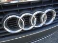 Dolphin Gray Metallic - A4 3.2 quattro Cabriolet Photo No. 35