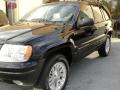 2002 Black Jeep Grand Cherokee Limited 4x4  photo #8