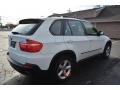Alpine White - X5 3.0si Photo No. 3