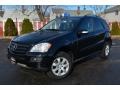 Black - ML 350 4Matic Photo No. 1