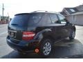 Black - ML 350 4Matic Photo No. 5