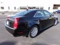 Black Raven - CTS 3.0 Sedan Photo No. 8