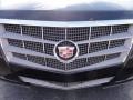 Black Raven - CTS 3.0 Sedan Photo No. 28