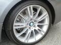 2010 BMW 3 Series 335i Coupe Wheel and Tire Photo