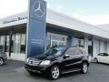 Black - ML 350 Photo No. 2