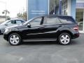 Black - ML 350 Photo No. 6