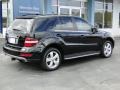 Black - ML 350 Photo No. 11