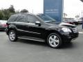 Black - ML 350 Photo No. 13