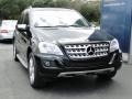 Black - ML 350 Photo No. 14