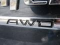 2010 Hyundai Santa Fe SE 4WD Badge and Logo Photo