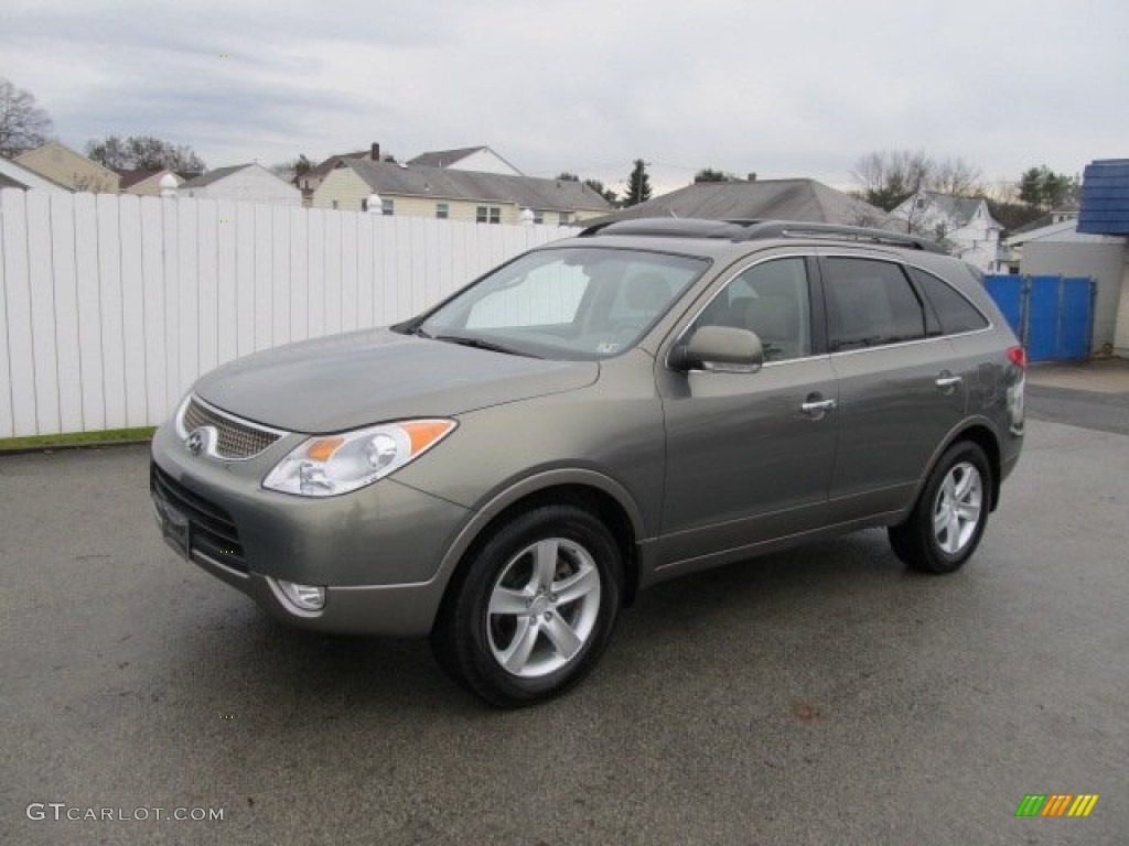 Natural Khaki Hyundai Veracruz