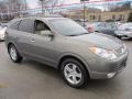 2009 Natural Khaki Hyundai Veracruz Limited AWD  photo #5