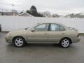 2002 Iced Cappuccino Nissan Sentra GXE  photo #2