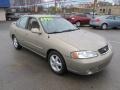 2002 Iced Cappuccino Nissan Sentra GXE  photo #5