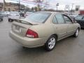 2002 Iced Cappuccino Nissan Sentra GXE  photo #7