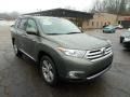 Cypress Green Pearl - Highlander Limited 4WD Photo No. 5