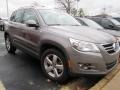 Alpine Grey Metallic - Tiguan Wolfsburg Edition Photo No. 4