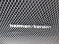 Iridium Silver Metallic - CL 550 Photo No. 9