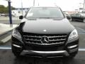 Black - ML 350 4Matic Photo No. 2