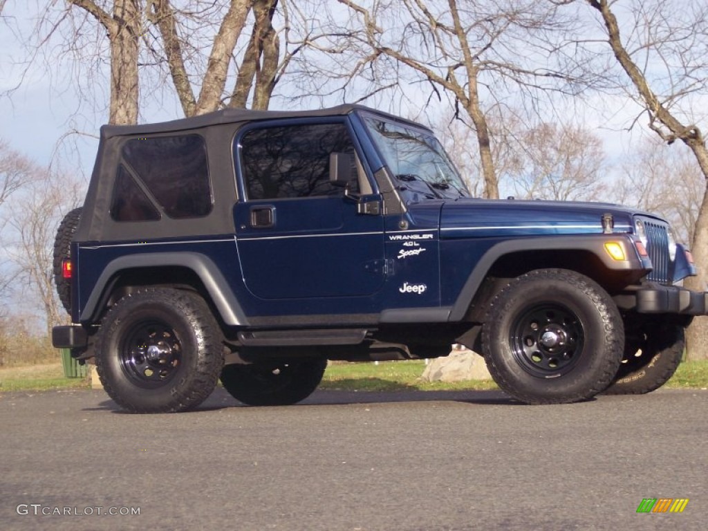 2000 Wrangler Sport 4x4 - Patriot Blue Pearl / Agate photo #10