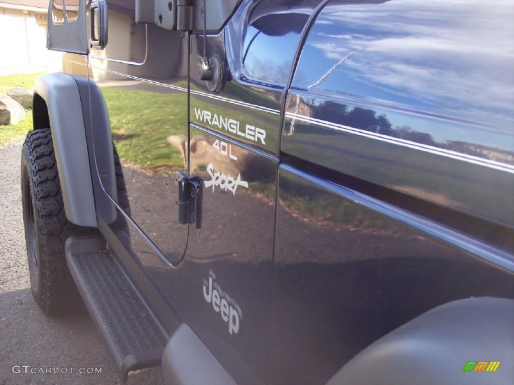 2000 Wrangler Sport 4x4 - Patriot Blue Pearl / Agate photo #20