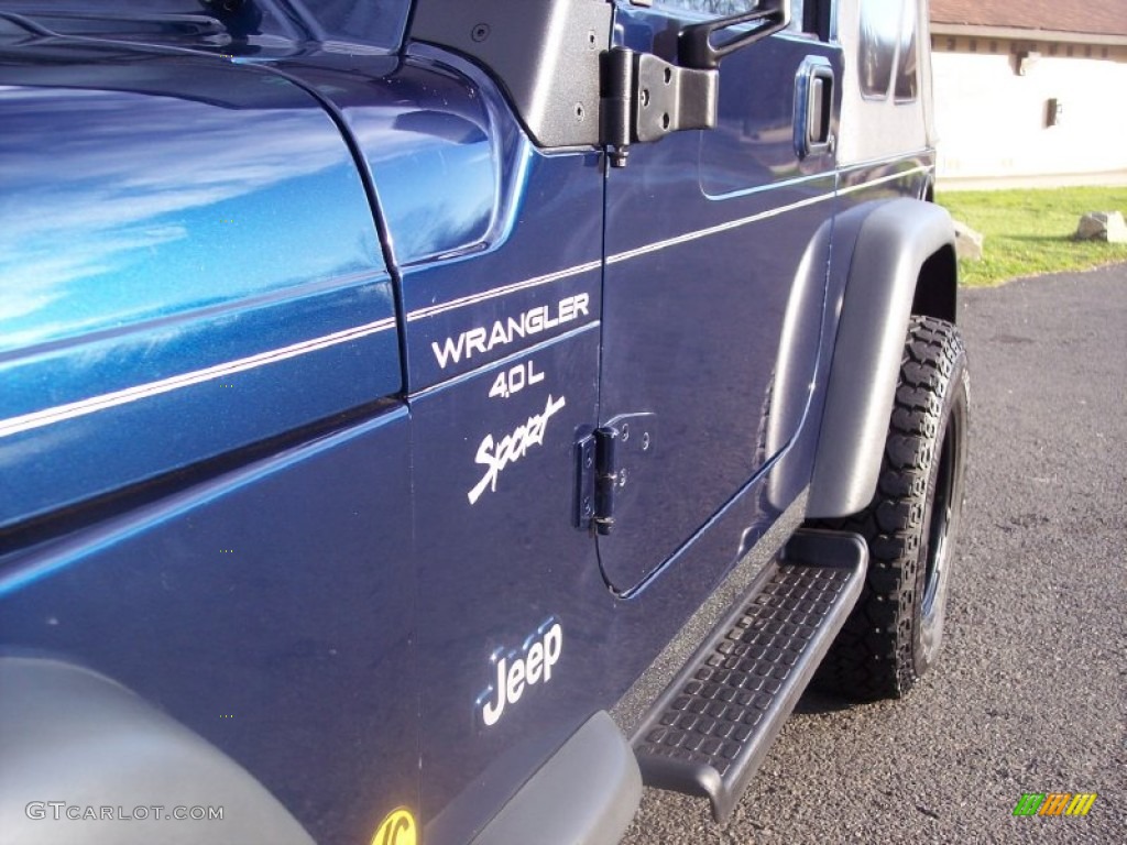 2000 Wrangler Sport 4x4 - Patriot Blue Pearl / Agate photo #21