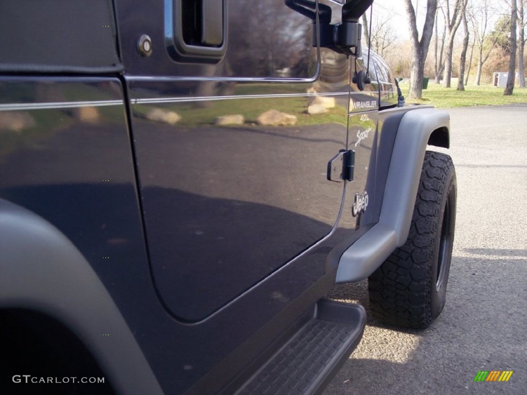 2000 Wrangler Sport 4x4 - Patriot Blue Pearl / Agate photo #23