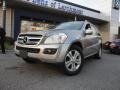 2009 Pewter Metallic Mercedes-Benz GL 450 4Matic  photo #1