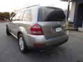 2009 Pewter Metallic Mercedes-Benz GL 450 4Matic  photo #13