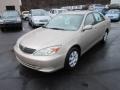 Desert Sand Mica - Camry LE Photo No. 3