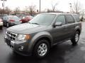 Sterling Grey Metallic 2010 Ford Escape Limited 4WD Exterior