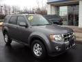 2010 Sterling Grey Metallic Ford Escape Limited 4WD  photo #22