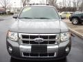 Sterling Grey Metallic 2010 Ford Escape Limited 4WD Exterior