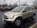 2008 Borrego Beige Metallic Honda CR-V LX  photo #1