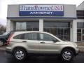 2008 Borrego Beige Metallic Honda CR-V LX  photo #5