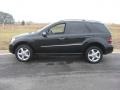 2008 Black Mercedes-Benz ML 350 4Matic  photo #9