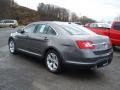 Sterling Grey - Taurus SEL Photo No. 6