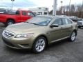 Ginger Ale - Taurus SEL AWD Photo No. 4