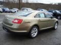 Ginger Ale - Taurus SEL AWD Photo No. 8