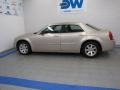 Linen Gold Metallic - 300 Touring Photo No. 5